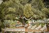 Agroturismo Masia Rural Cal Sim�