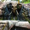 Hostal Cosmos Cuisine Addo