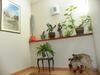 Hostal Guest House Novus Rex
