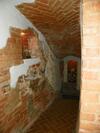 Hostal Guest House Novus Rex