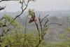 Hostal Rhino Walking Safaris