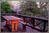 Phumula Kruger Lodge And Safaris