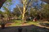 Phumula Kruger Lodge And Safaris