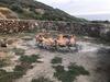 Apartamento H24 Vacanze