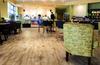Hotel Canaan Valley Resort State Park