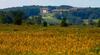 Hotel Canaan Valley Resort State Park