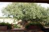 Agroturismo Podere Fingardella