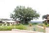 Agroturismo Podere Fingardella