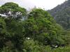 Omega Tours Eco-jungle Lodge