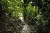 Omega Tours Eco-jungle Lodge