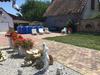 Holiday Home Balatonbereny 16