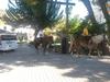 Oranj Ranch Hotel