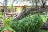 Hostal Rochabus