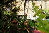 Hostal Rochabus