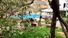 Hostal Rochabus