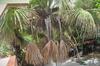 Hotel Pousada Para�so Das �guas