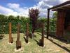 Lodge Caba�as La Cosecha