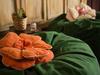 Hostal Bed & Art Barcelona