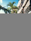 Siesta Fiesta Hotel