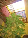 Bed & Breakfast La Querencia De Buenos Aires
