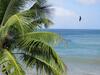 Hotel Las Ma�anitas Capurgana