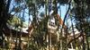 Hostal Pousada Recanto Fam�lia Fragoso