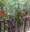 Hostal Pousada Recanto Fam�lia Fragoso