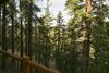 Hotel Timber Ridge Resort By 101 Great Escapes