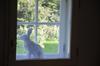 Apartamento Goldschmiedsm�hle
