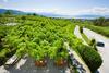 Hotel Montfort-schl�ssle