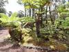 Hostal Alii Kane Cottage With Loft