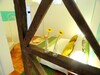 Lisbon Experience Apartments Principe Real