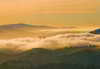 Hotel Residence Inn Pleasant Hill Concord