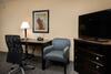 Hotel Hampton Inn & Suites Mount Juliet