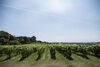 Agroturismo Quinta Do Paco D'anha