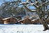 R�sidence N�m�a Les Chalets Du Bois De Champelle