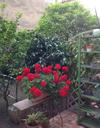 Apartamento Carrer Dels Horts