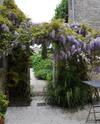 Bed & Breakfast La Maison Du Baloir