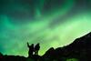 Alyeska Hideaway