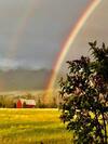 Pine Creek Cabin Livingston Montana