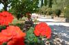 Apartamento Casale Santa Caterina