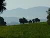 Agroturismo Andreashof
