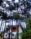 Hotel Golden Park Campos