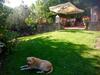 Agroturismo Dolci Colline Holidays Villas