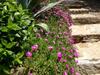 Agroturismo Dolci Colline Holidays Villas