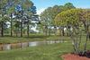 Villa Kingston Plantation By Palmetto Vacation Rentals
