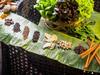 Hotel The Farmer Boutique Resort & Spa