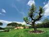 Agroturismo Borgo Casalvento