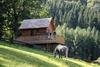 Hotel Gut Vorwald