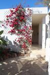 Agroturismo El Jard�n De Los Sue�os